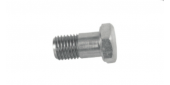 Ford Out Rakoru (344)-(0.75)